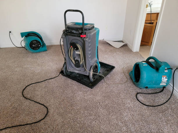Reliable Spring Green, WI Water damage restoration Solutions