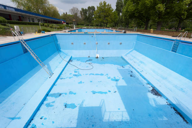 Best Basement water damage restoration  in Spring Green, WI