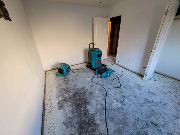 Best Water damage restoration specialists  in Spring Green, WI