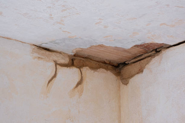 Best Fire Damage Restoration  in Spring Green, WI