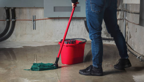 Best Flood restoration services  in Spring Green, WI