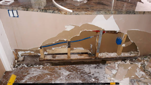 Best Ceiling water damage repair  in Spring Green, WI