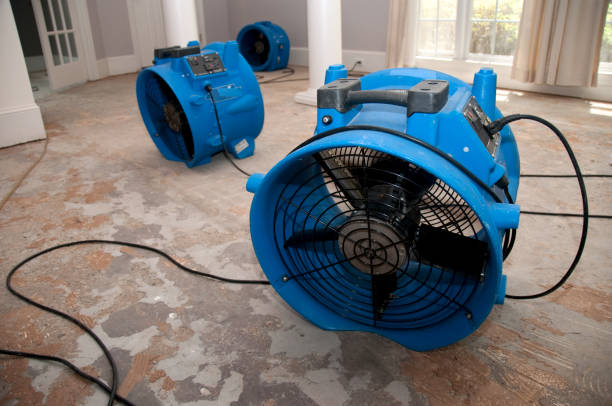 Best Professional water damage repair  in Spring Green, WI
