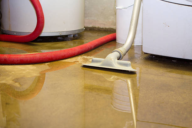 Best Mold removal after water damage  in Spring Green, WI