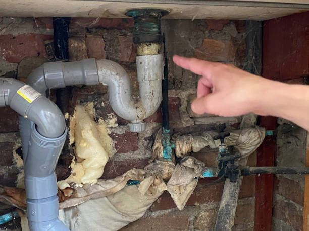 Best Residential water damage restoration  in Spring Green, WI